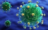 HIV新疫苗对新冠疫苗开发有重要意义？