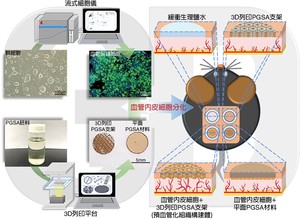 学研联手结合干细胞及3D列印 建构预血管化组织成形