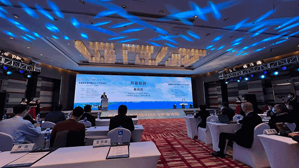 上海先楫半导体发布超高性能RISC-V通用MCUHPM6000系列