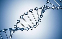 加拿大环状DNA测序工具问世！有望农业和癌症等领域研究
