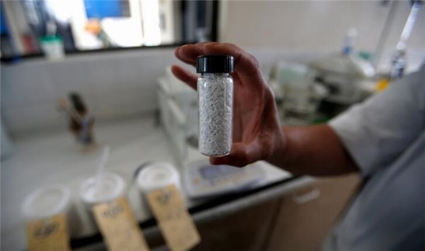 这三个地方支撑着全世界的锂电池需求