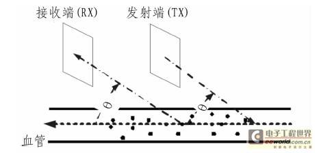 一种基于多普勒原理的血流速度计设计