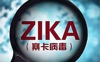 首次！科学家利用动物模型证实哺乳可传播寨卡病毒