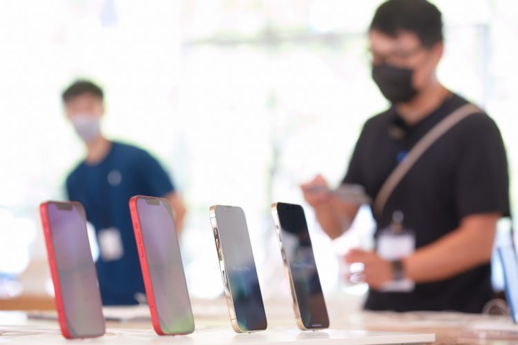 iPhone销售抢尽风采 非苹阵营盼农历年档期