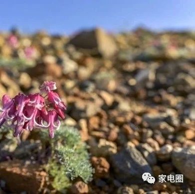 【独家】新一轮地方版家电“以旧换新”来了!市场又要变?