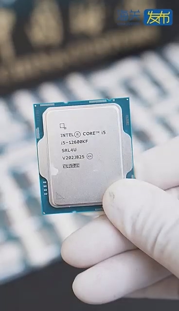 行走的CPU：男子身上绑160颗Intel 12代i5闯关被查获