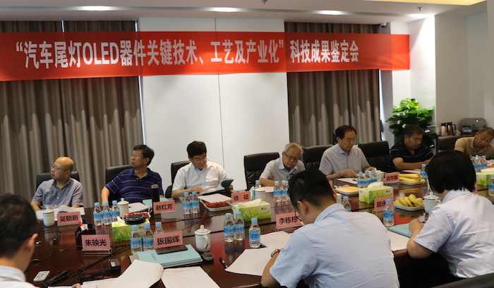 翌光科技|“汽车尾灯OLED器件关键技术、工艺及产业化” 科技成果顺利通过鉴定