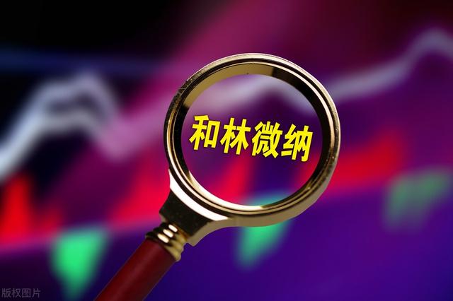MEMS精微零部件龙头，和林微纳：半导体探针第二增长极，迅速成长