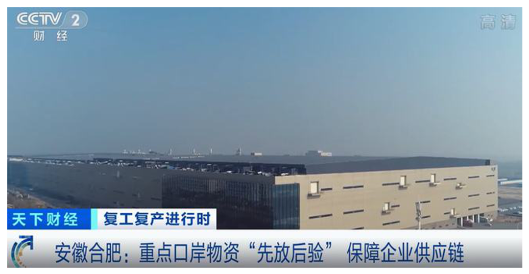 合肥,雄“芯”而起! 合肥,雄“芯”而起!