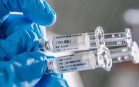 首次发现：新冠疫苗动物实验显示良好免疫效果
