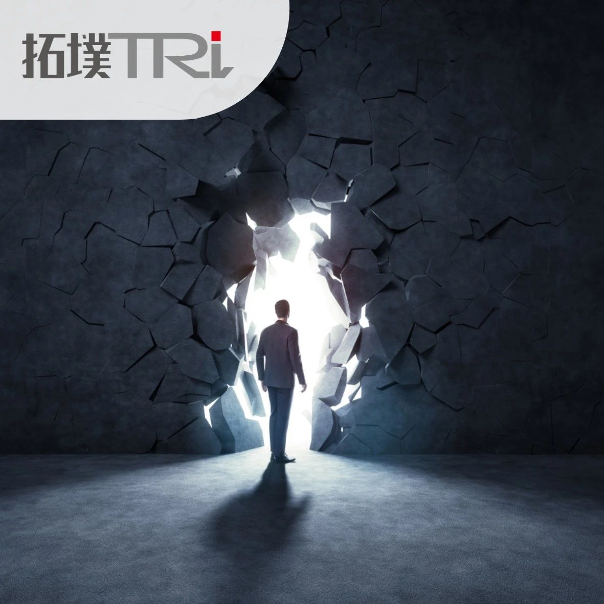 当英飞凌遇上比亚迪，国产汽车半导体面临的挑战与机遇！