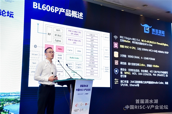 RISC-V架构国产芯片10连发：4款基于阿里平头哥玄铁内核
