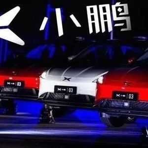 小鹏汽车自研芯片项目已经启动数月：中美两地同步进行！