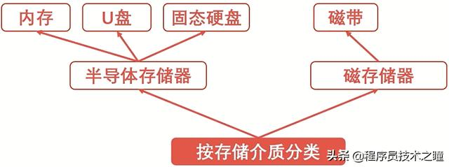 记忆弥足珍贵 存储器几乎成了它们的唯一依赖