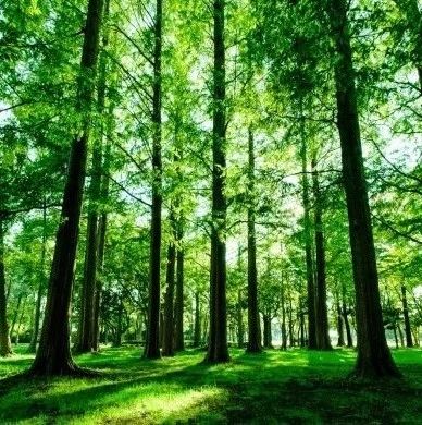 【独家】一线市场今年突涨急跌,家电经销商如何稳定经营
