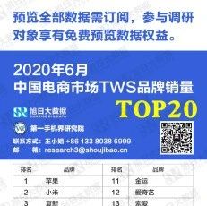 6月中国电商TWS畅销榜