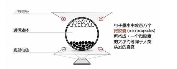 2022年了 我们真的还需要“墨水屏”吗？墨水屏≠电子书