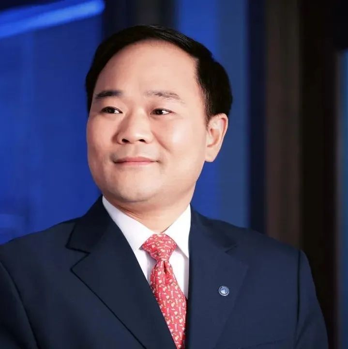 马斯克洗脑李书福？