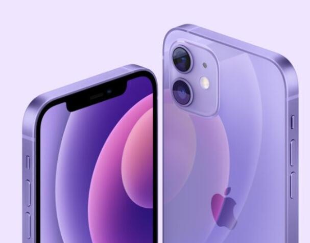 紫色 iPhone 12 已经开始使用随机序列号