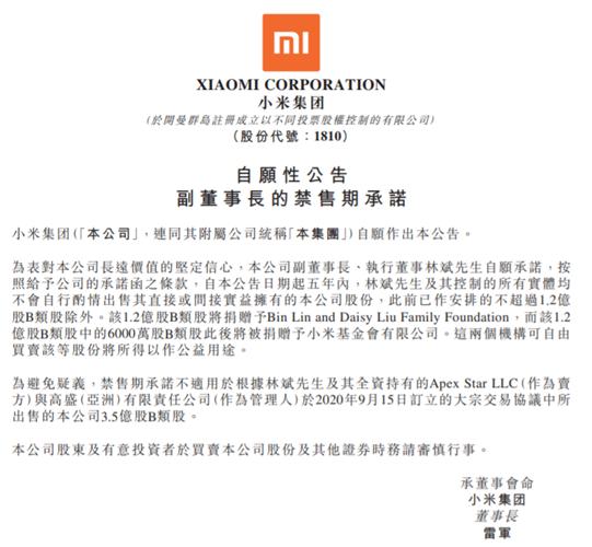 小米集团：副董事长林斌承诺5年内不出售公司股份 已作安排的除外