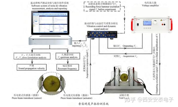 功率放大器基于声振响应法的香梨硬度无损检测