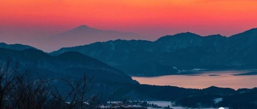 家电产业的商业黑海又在哪里?