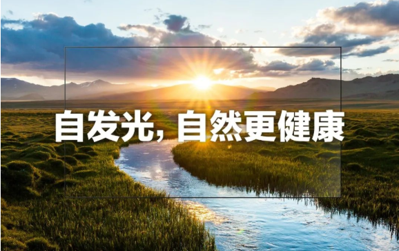 LED防蓝光灯珠-拒绝“蓝光”轻松护眼守护健康