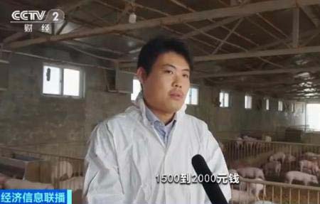 央视报道全新高科技“生猪代养模式”