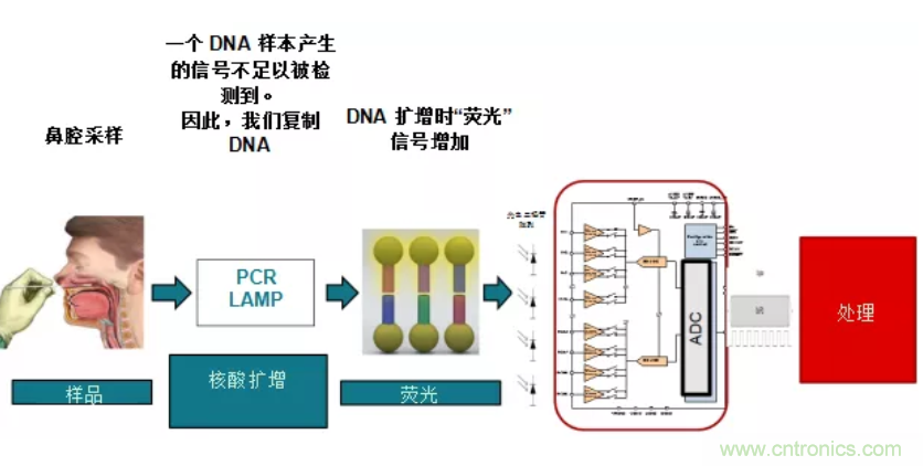 利用分子检测技术帮助医生更快、更准确地进行患者诊断