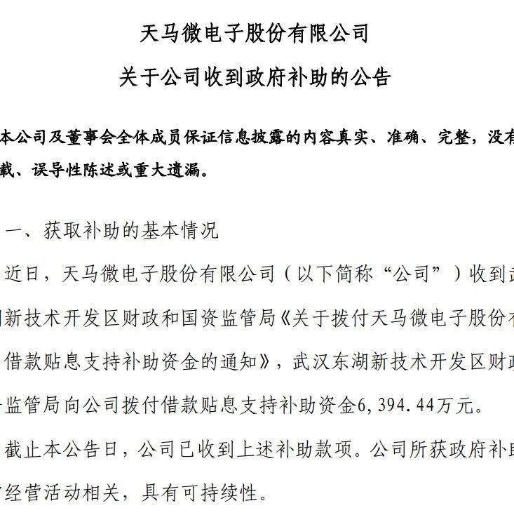 天马 | 收到武汉政府补助资金6394万元