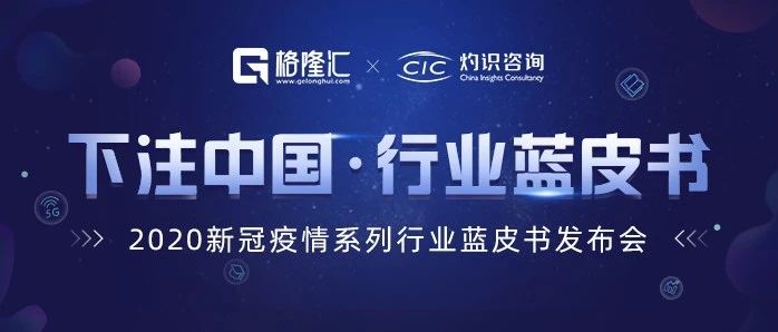 《下注中国·行业蓝皮书》` 中国新冠疫情系列行业蓝皮书内容摘录