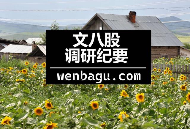 天岳先进(688234)-电话会纪要-20220413