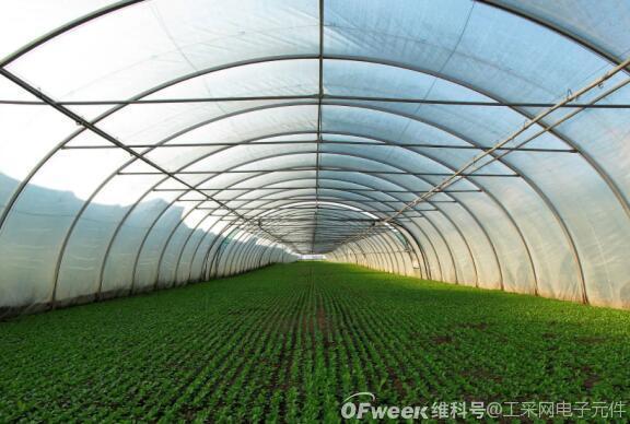 应用在农业温室大棚领域中的温度传感芯片