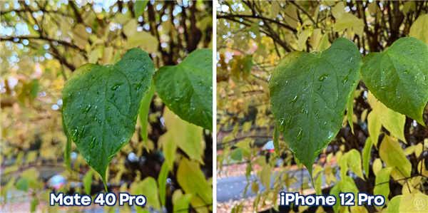 谁更强？华为Mate40 Pro拍照对比iPhone 12 Pro
