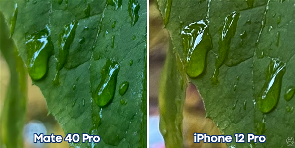 谁更强？华为Mate40 Pro拍照对比iPhone 12 Pro