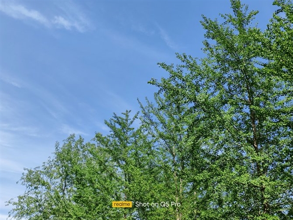 1799元闭眼买!realme Q5 Pro上手:几乎找不到短板