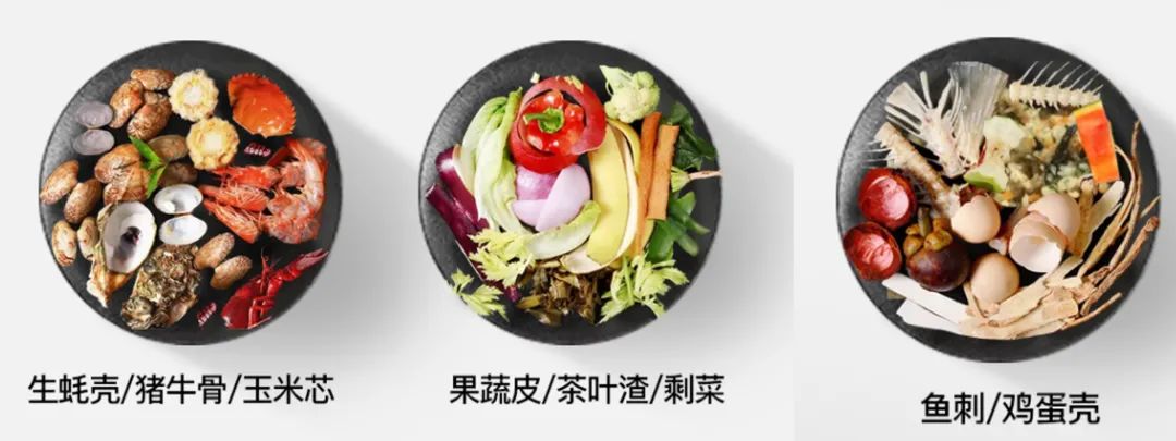 厨余也能变废为宝？背后竟然存着一个千亿市场！