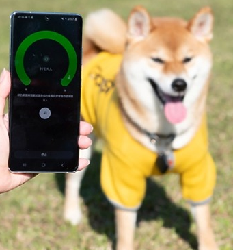 三星Galaxy SmartTag试用：标榜帮你找回遗失的小物(或猫？) 但实用性如何呢