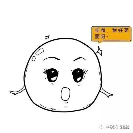 漫画详解：集成电路芯片是如何诞生的