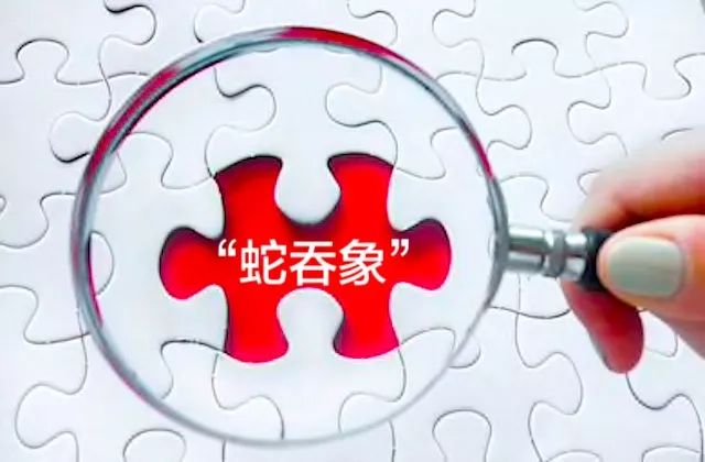 引入新股东做局“蛇吞象”，闻泰科技能否加速吞下安世集团？