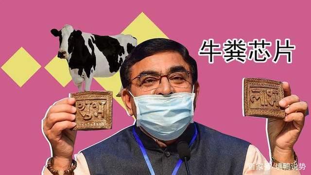 从牛粪芯片到牛粪灯，印度为何和牛这么过不去？