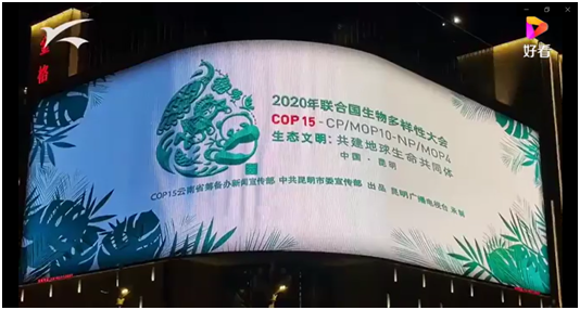 集创北方LED产品助力裸眼3D技术呈现生物多样之美