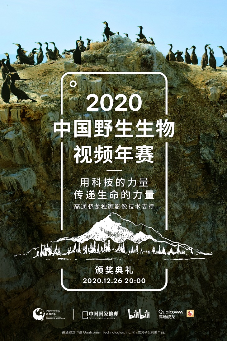高通骁龙助力首届中国野生生物视频年赛 用科技的力量传递生命的力量