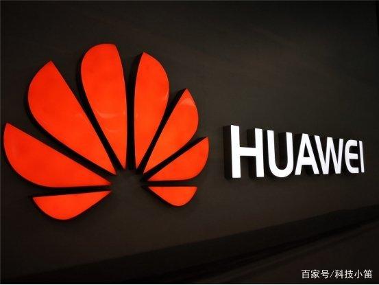 “去美化”的不只我们，欧洲十七国再次表态，芯片格局将乱套？