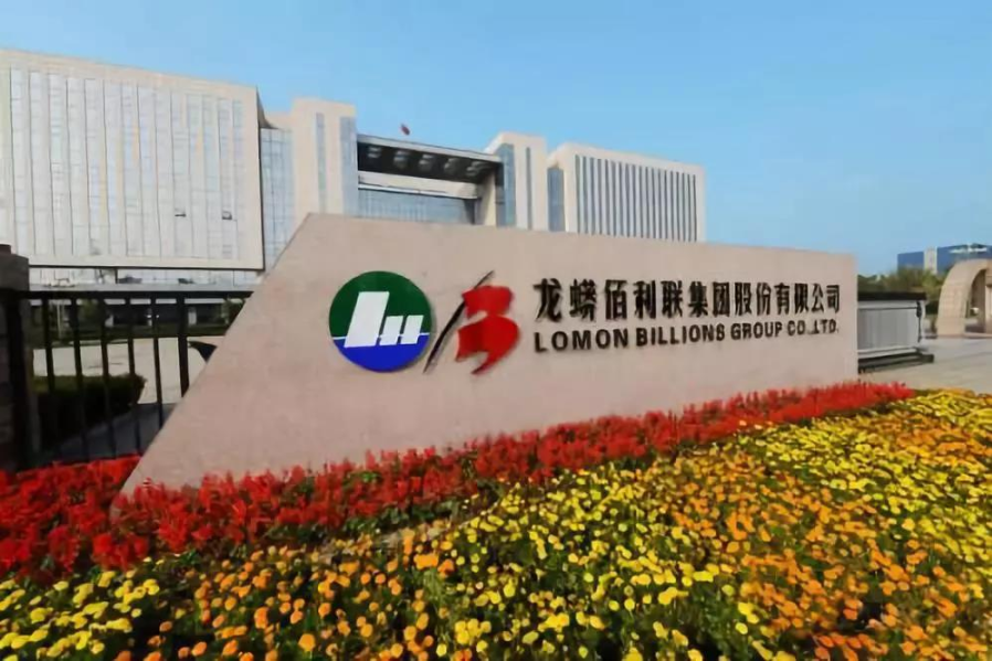 新材料情报NMT | 新锐 | 内生外延双管齐下，龙蟒佰利欲打造钛全产业链平台