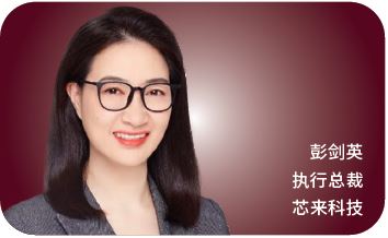 系统级芯片(SoC)的复杂设计选择：RISC-V及SoC设计平台