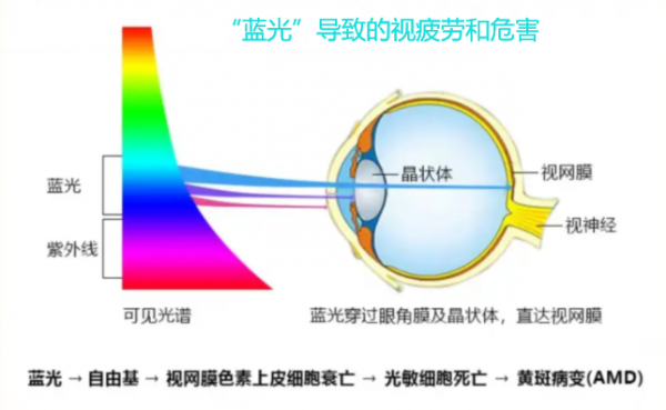 护眼新时代—旺泓智能防蓝光LED灯珠