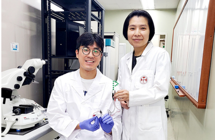 浦项大学可在30分钟内合成锂硫电池正极材料