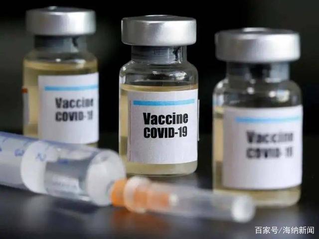 芯片换疫苗？德国部长一封“求助信”，让台湾飘了，然而现实残酷