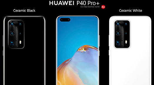 华为P40系列发表 相机新亮点：手机已经可以做到10倍光学变焦了啊...（还可以拍野生动物纪录片）